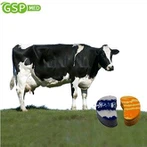 Almohadillas para casco de vaca Walkease para granja de vacas